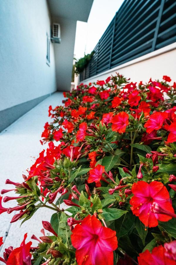 Villa Margita Split Exteriör bild