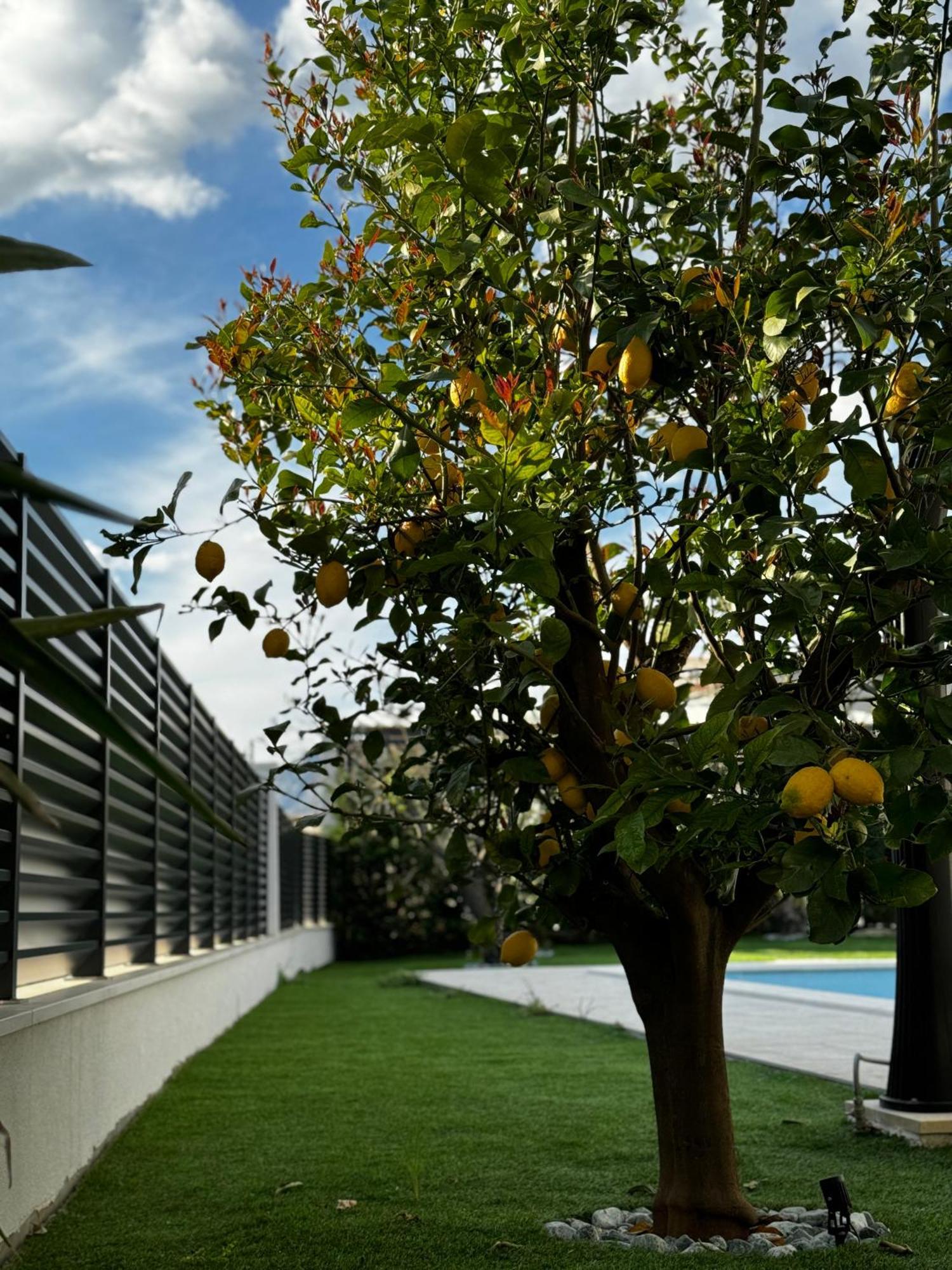 Villa Margita Split Exteriör bild